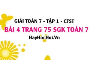 Giải bài 4 trang 75 Toán 7 Tập 1 SGK Chân trời sáng tạo